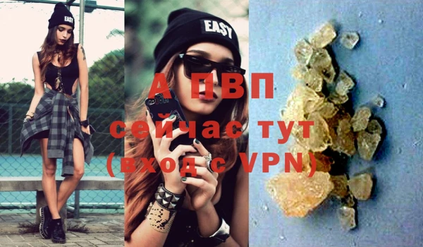 spice Белокуриха