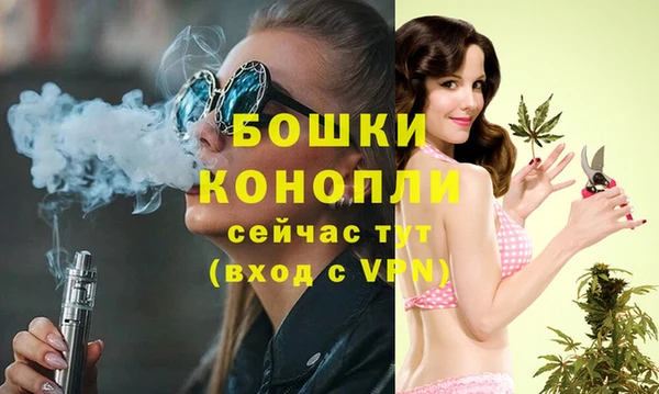 spice Белокуриха
