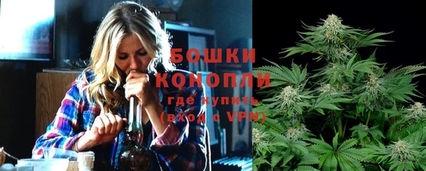 spice Белокуриха