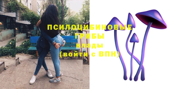spice Белокуриха